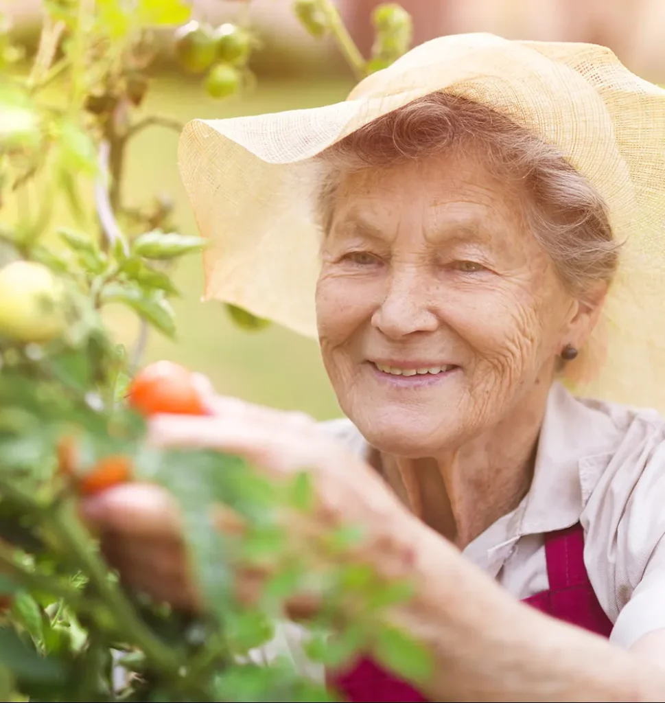 Senior enjoying gardening with good vision